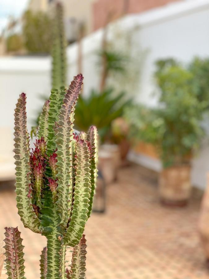 Riad Le Pelerin Маракеш Екстериор снимка